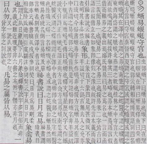 壁虎在地上不動|壁虎 大自然界的鍵之鍊金術士